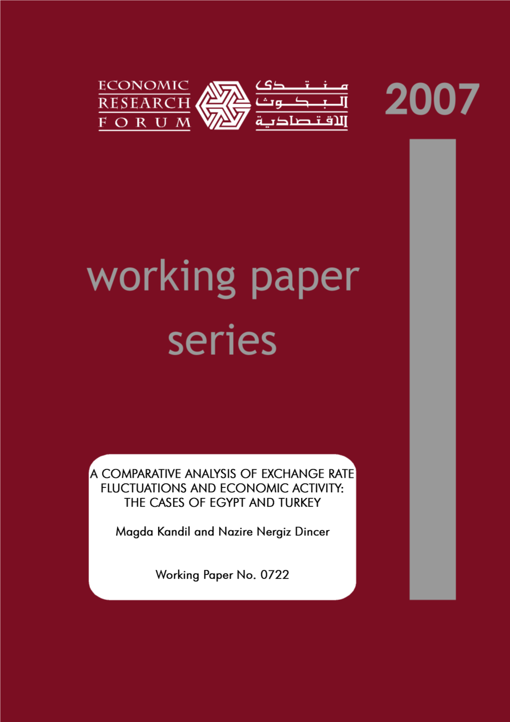 A Comparative Analysis of Exchange Rate Fluctuations and Economic Activity: the Cases of Egypt and Turkey