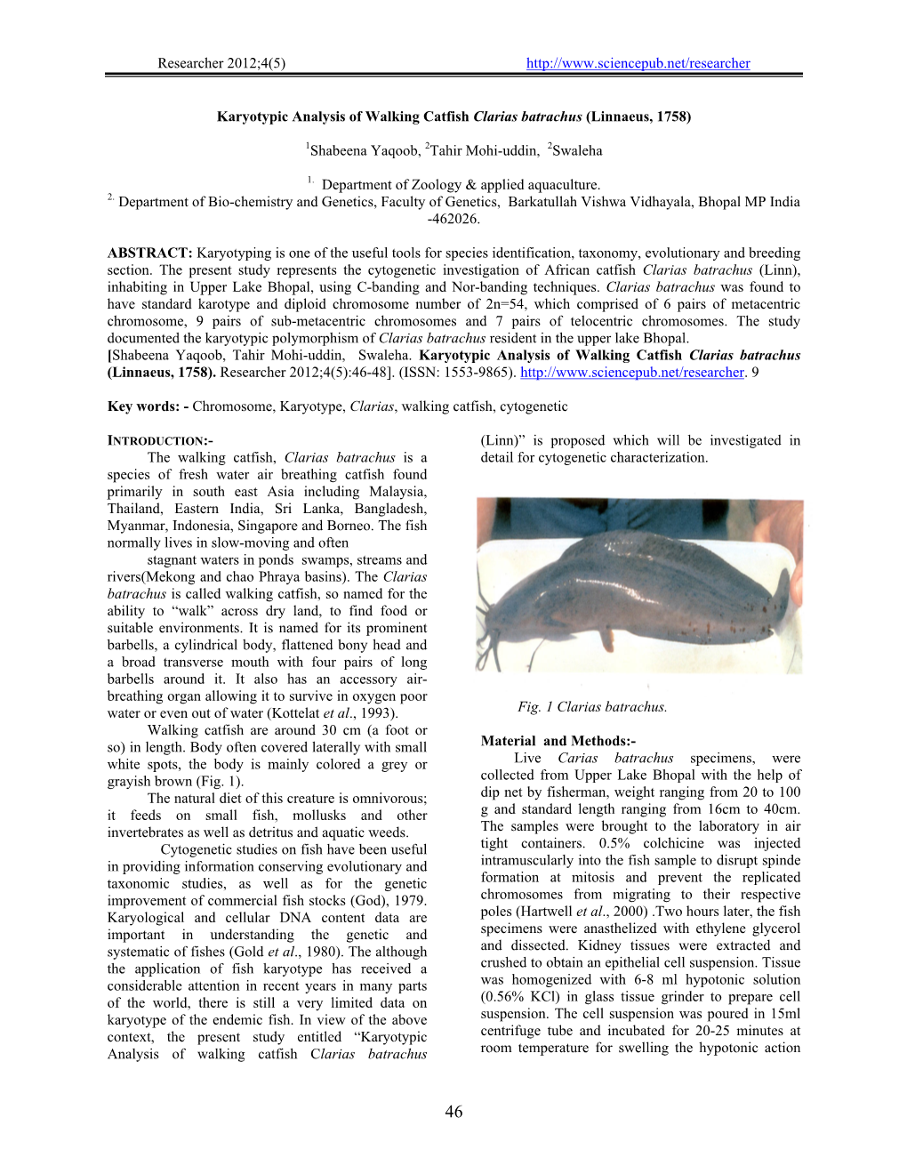 Karyotypic Analysis of Walking Catfish Clarias Batrachus (Linnaeus, 1758)