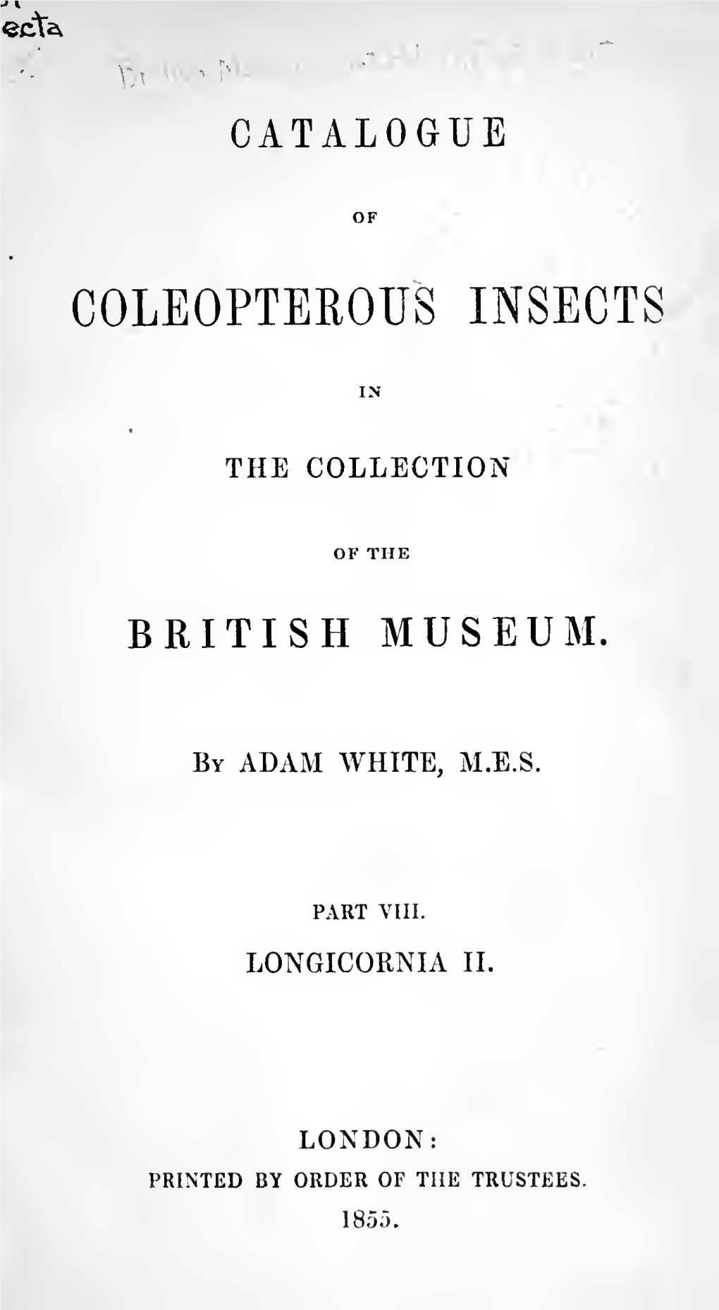 Catalogue of Coleopoterous Insects in the Collection of the British Museum