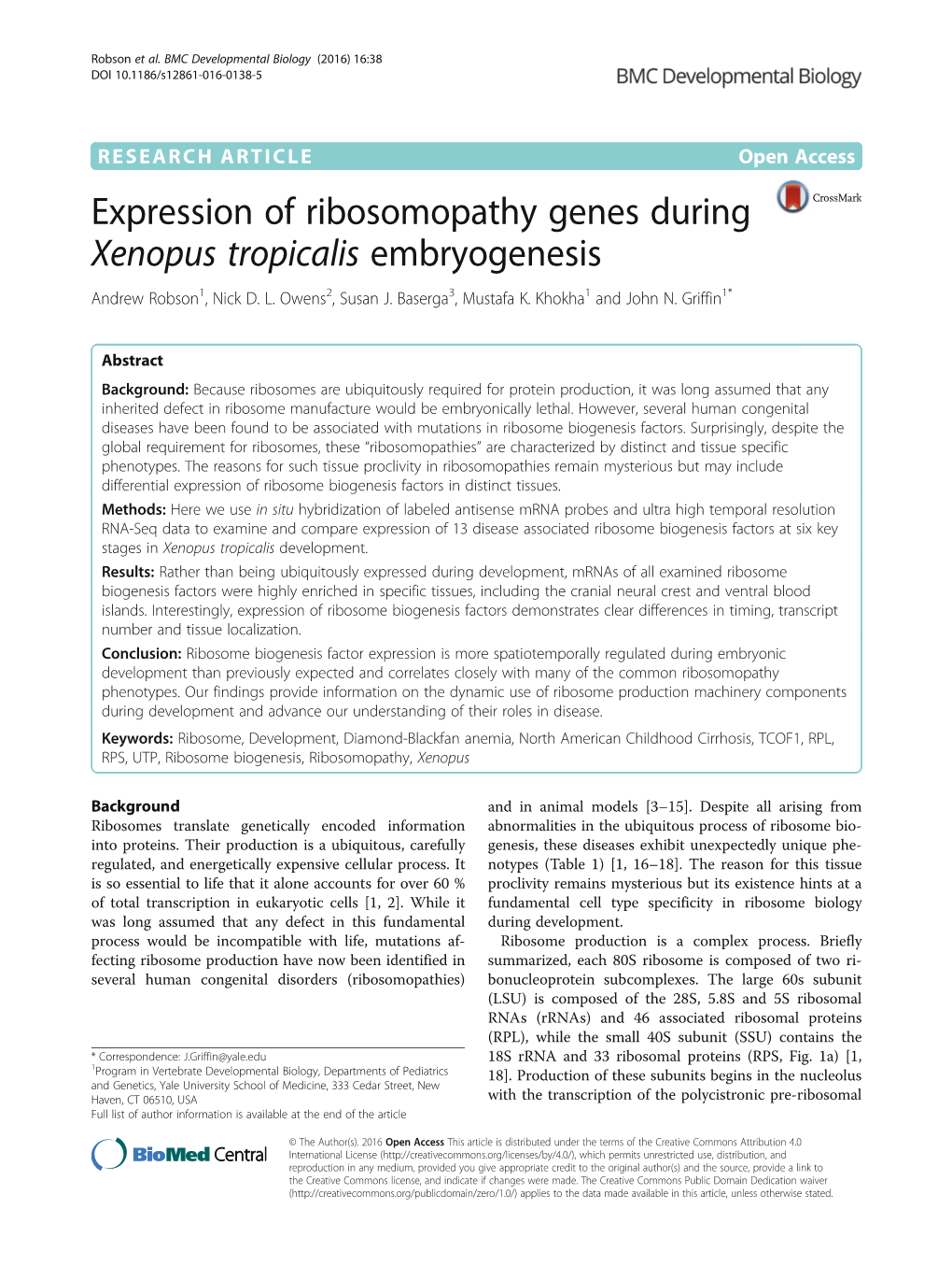 Expression of Ribosomopathy Genes During Xenopus Tropicalis Embryogenesis Andrew Robson1, Nick D