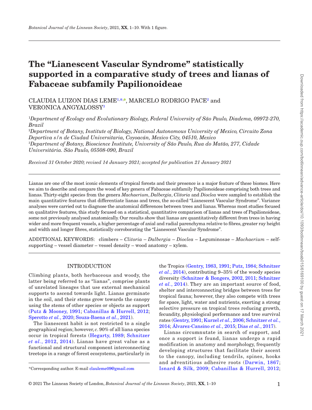 Lianescent Vascular Syndrome