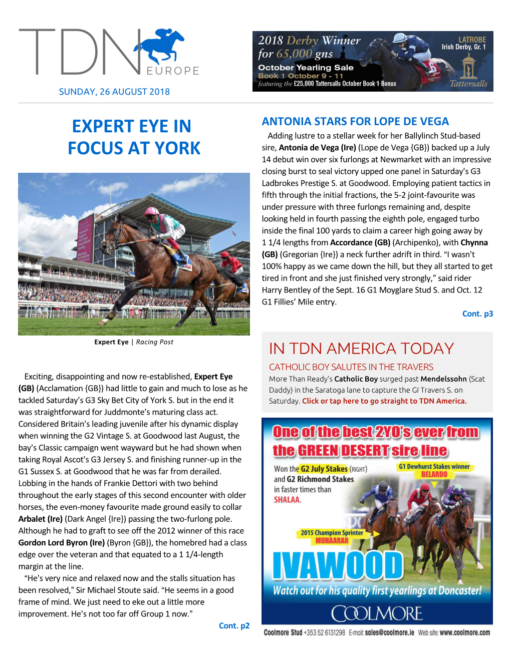 Expert Eye in Focus at York Cont