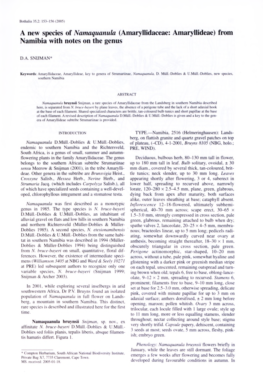 A New Species of Namaquanula (Amaryllidaceae: Amaryllideae) from Namibia with Notes on the Genus