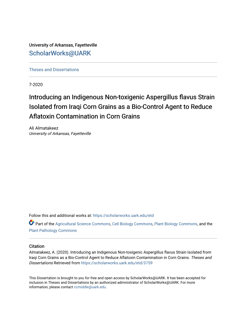 Introducing an Indigenous Non-Toxigenic Aspergillus Flavus Strain Isolated from Iraqi Corn Grains As a Bio-Control Agent to Redu