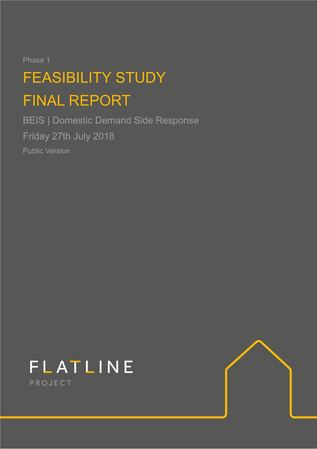 Phase 1 Feasibility Full Report