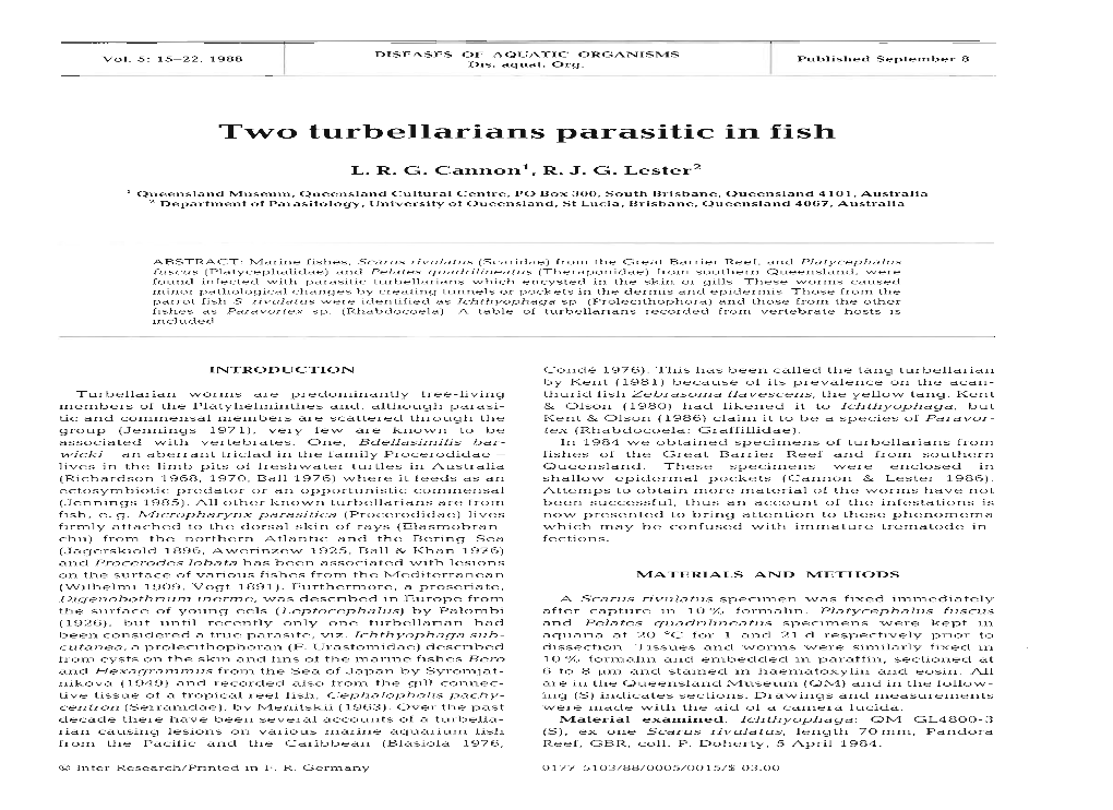 Two Turbellarians Parasitic in Fish