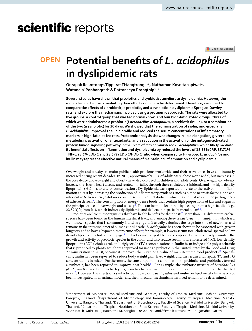 Potential Benefits of L. Acidophilus in Dyslipidemic Rats