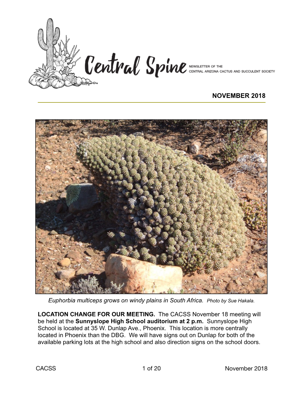 Euphorbia Multiceps Grows on Windy Plains in South Africa. Photo by Sue Hakala