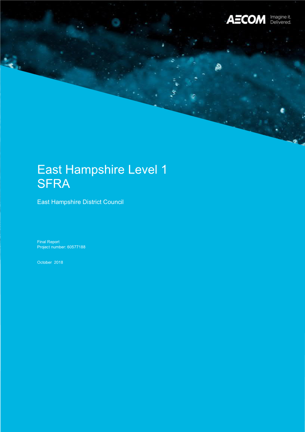 East Hampshire Level 1 SFRA
