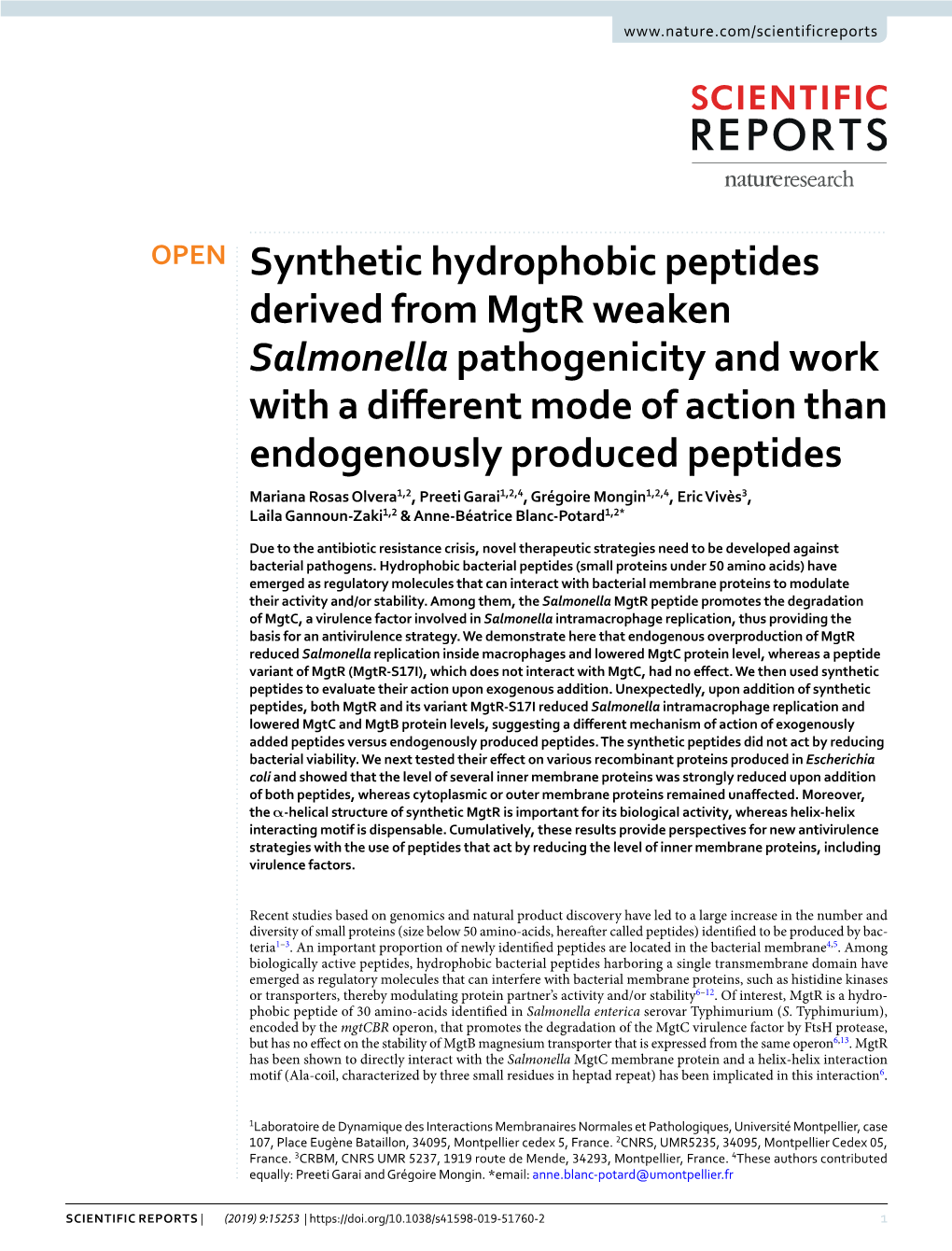 Synthetic Hydrophobic Peptides Derived from Mgtr Weaken