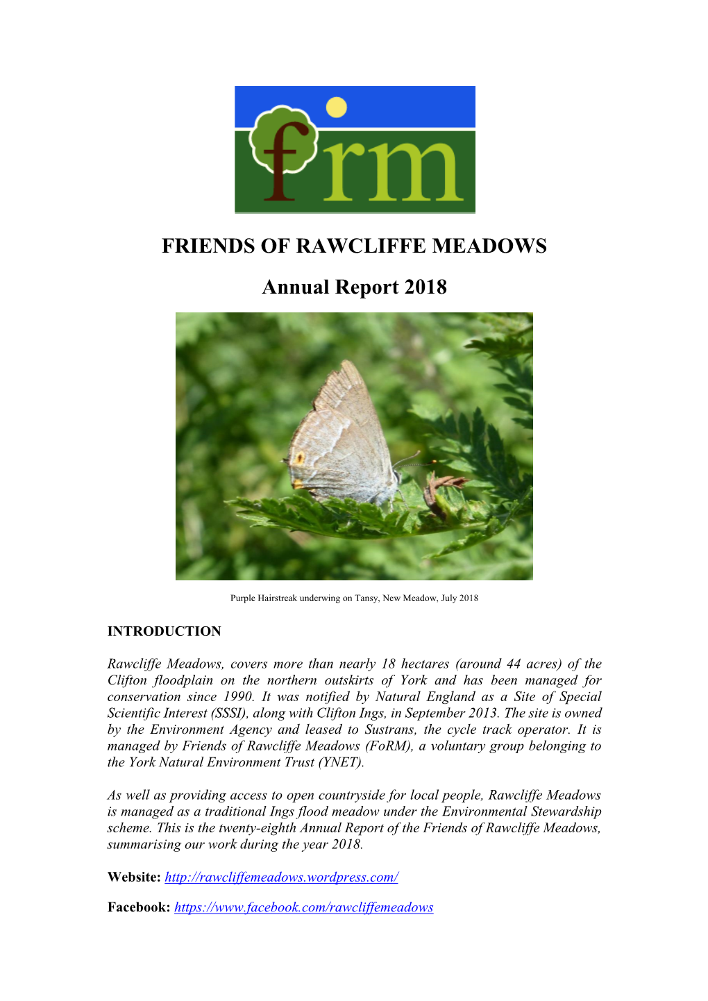 Form Annual Report 2018