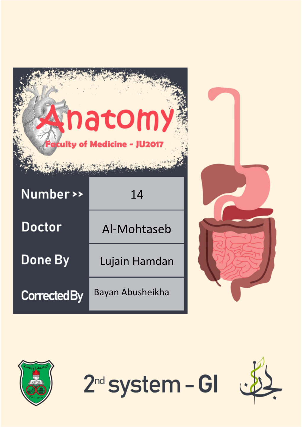 Anal Canal (Upper 2 Cm)