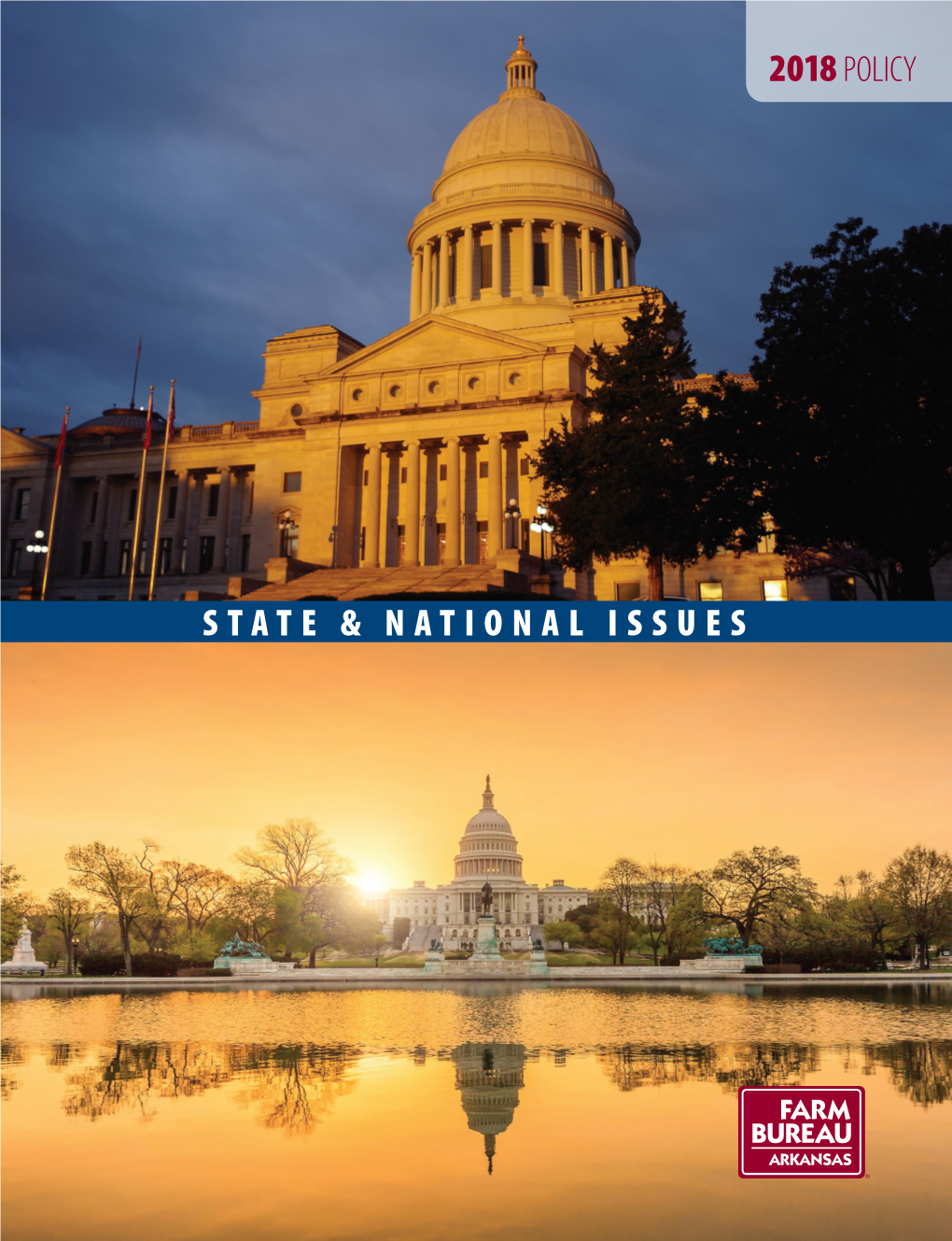 2018 State and National Policy Book Published