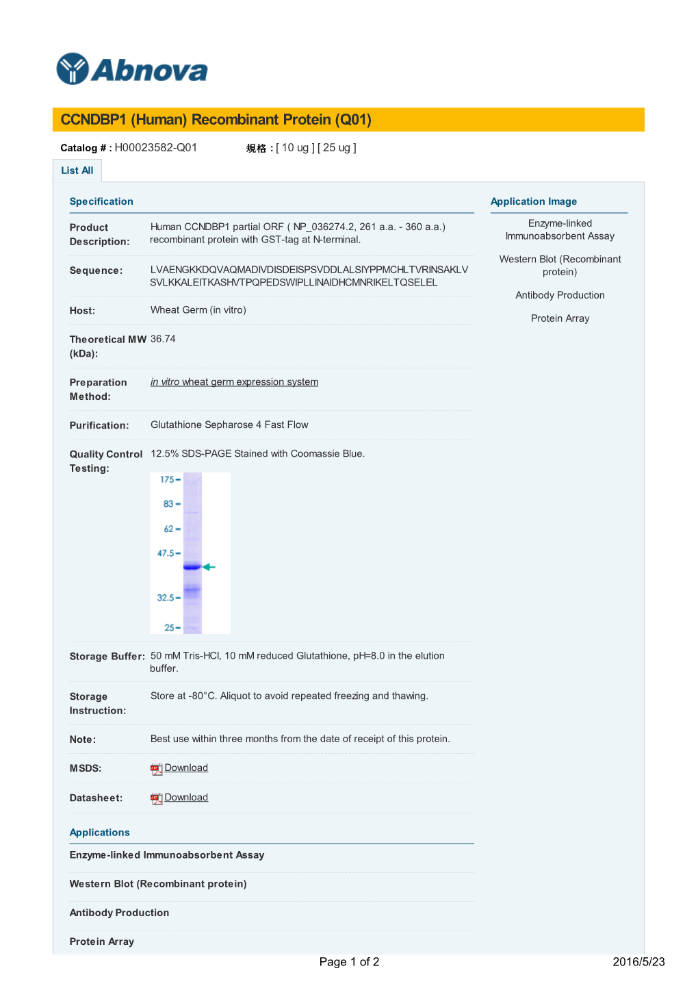 CCNDBP1 (Human) Recombinant Protein (Q01)