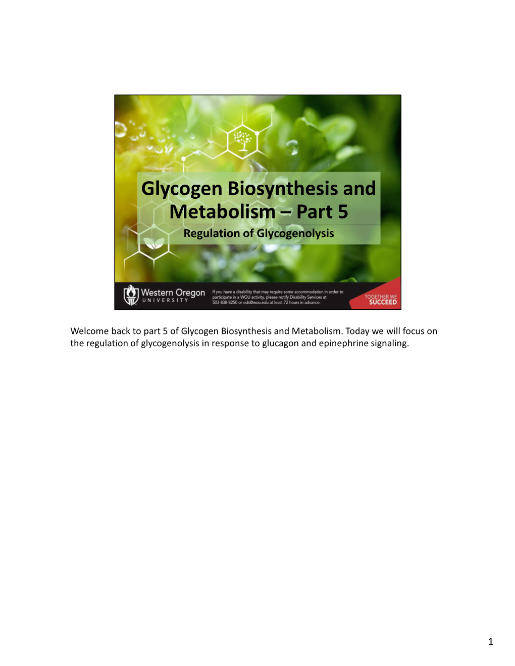 Glycogen Biosynthesis and Metabolism – Part 5 Regulation of Glycogenolysis