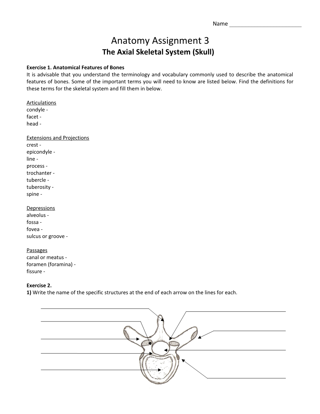 The Axial Skeletal System (Skull)