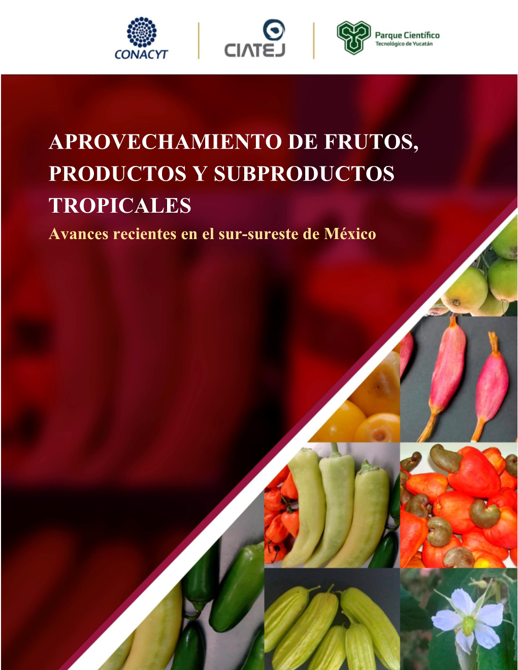 APROVECHAMIENTO DE FRUTOS, PRODUCTOS Y SUBPRODUCTOS TROPICALES Avances Recientes En El Sur-Sureste De México