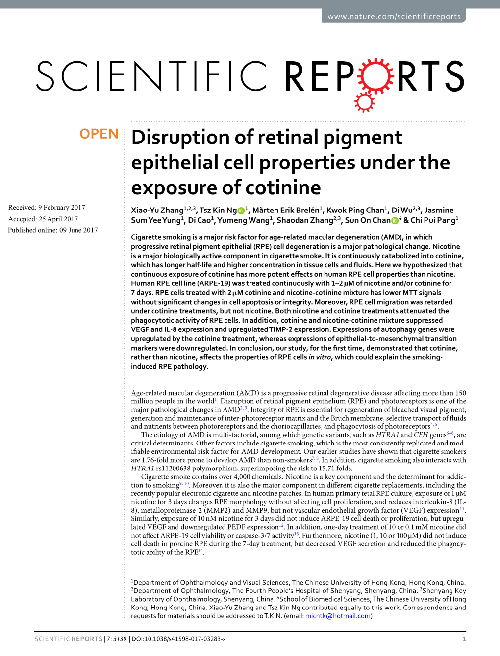 Disruption of Retinal Pigment Epithelial Cell Properties Under the Exposure