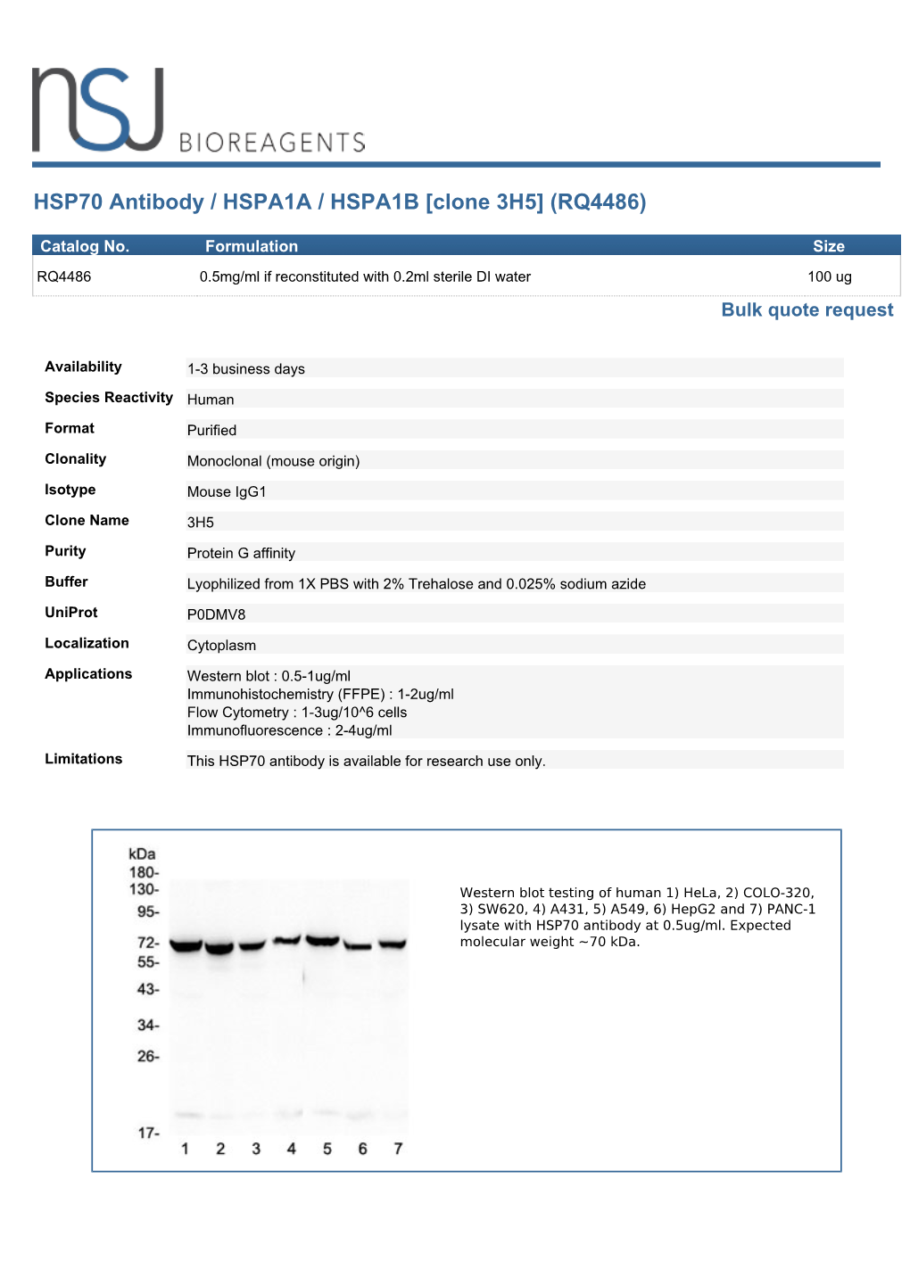 HSP70 Antibody / HSPA1A / HSPA1B [Clone 3H5] (RQ4486)