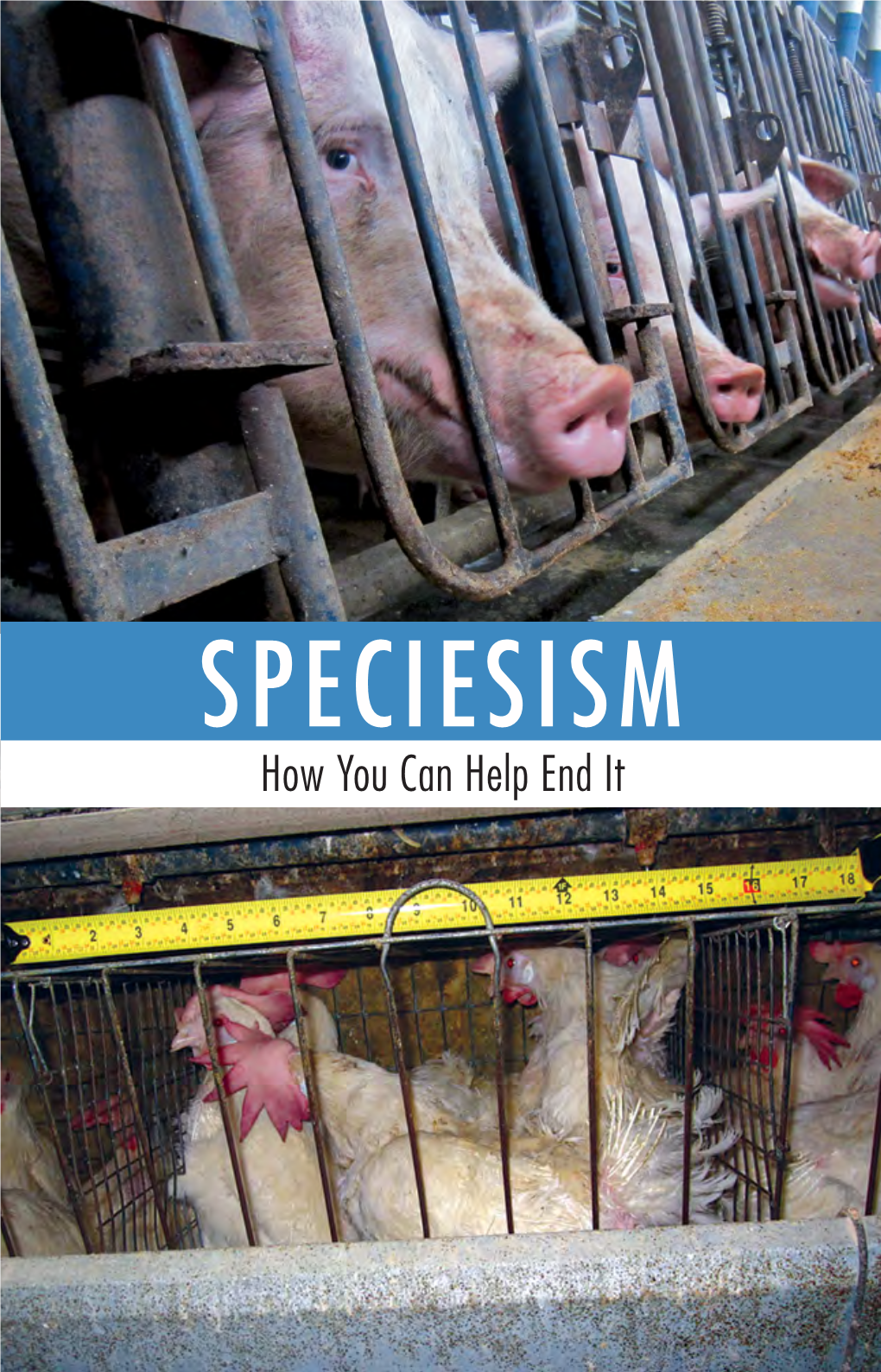 Speciesism How You Can Help End It Putting Speciesism on Our Radar