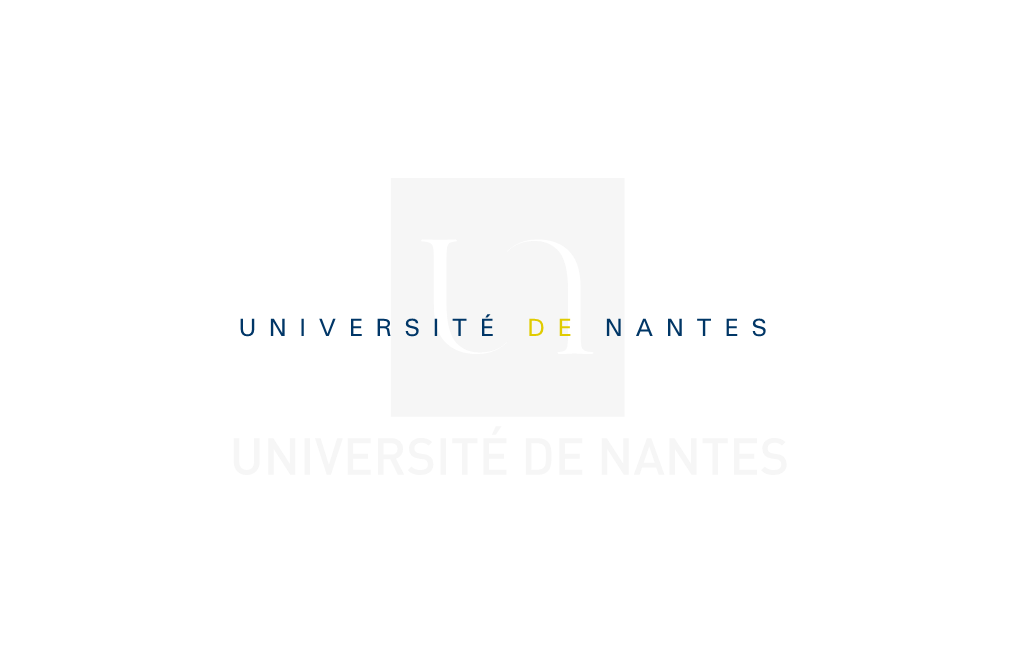 University-Of-Nantes-Leaflet.Pdf