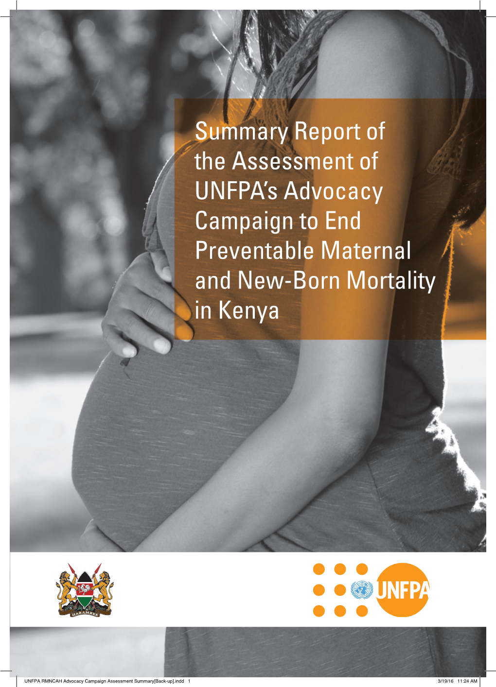 Summary Report of the Assessment of UNFPA's Advocacy Campaign To