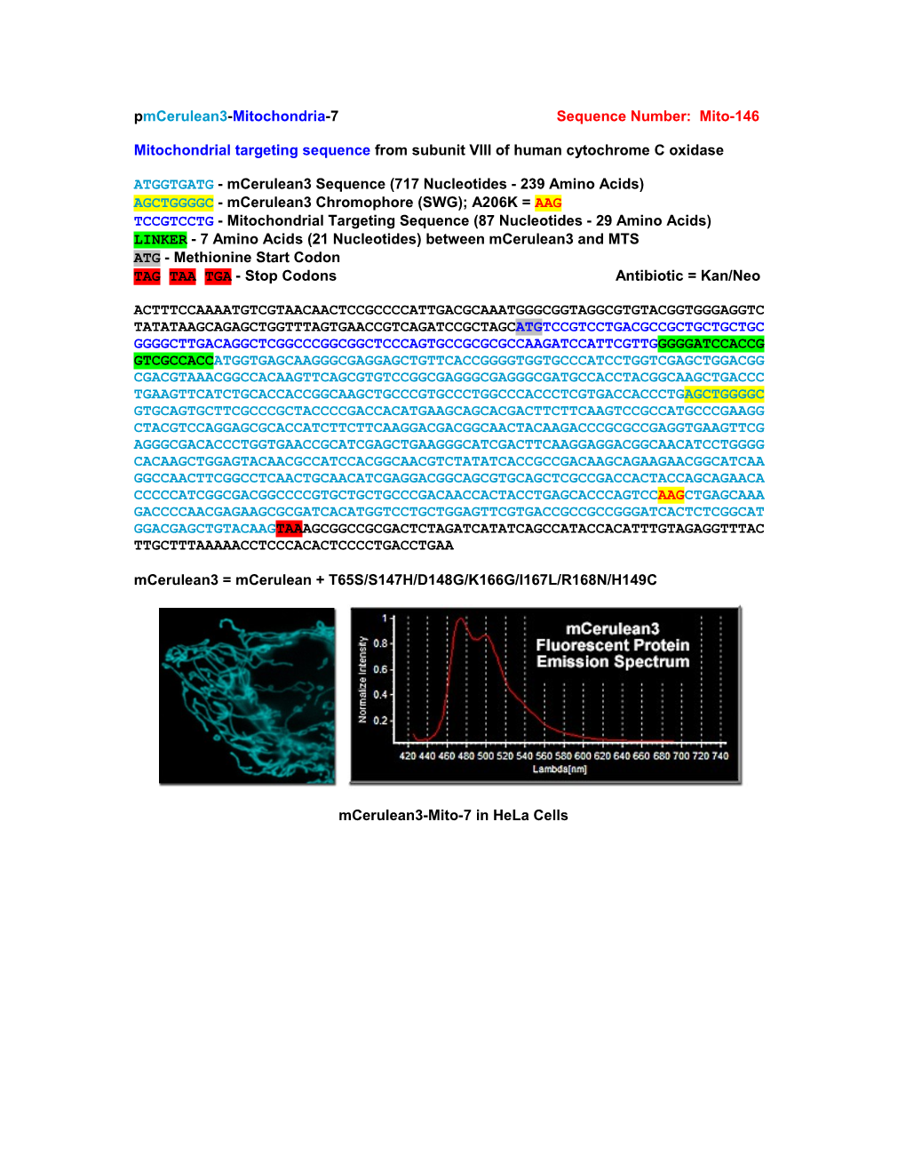 Pmcerulean3-Mitochondria-7 Sequence Number: Mito-146