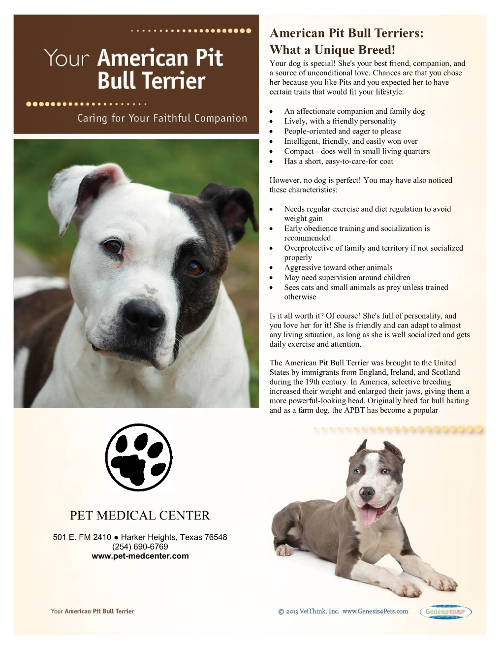 American Pit Bull Terriers: What a Unique Breed! PET MEDICAL CENTER