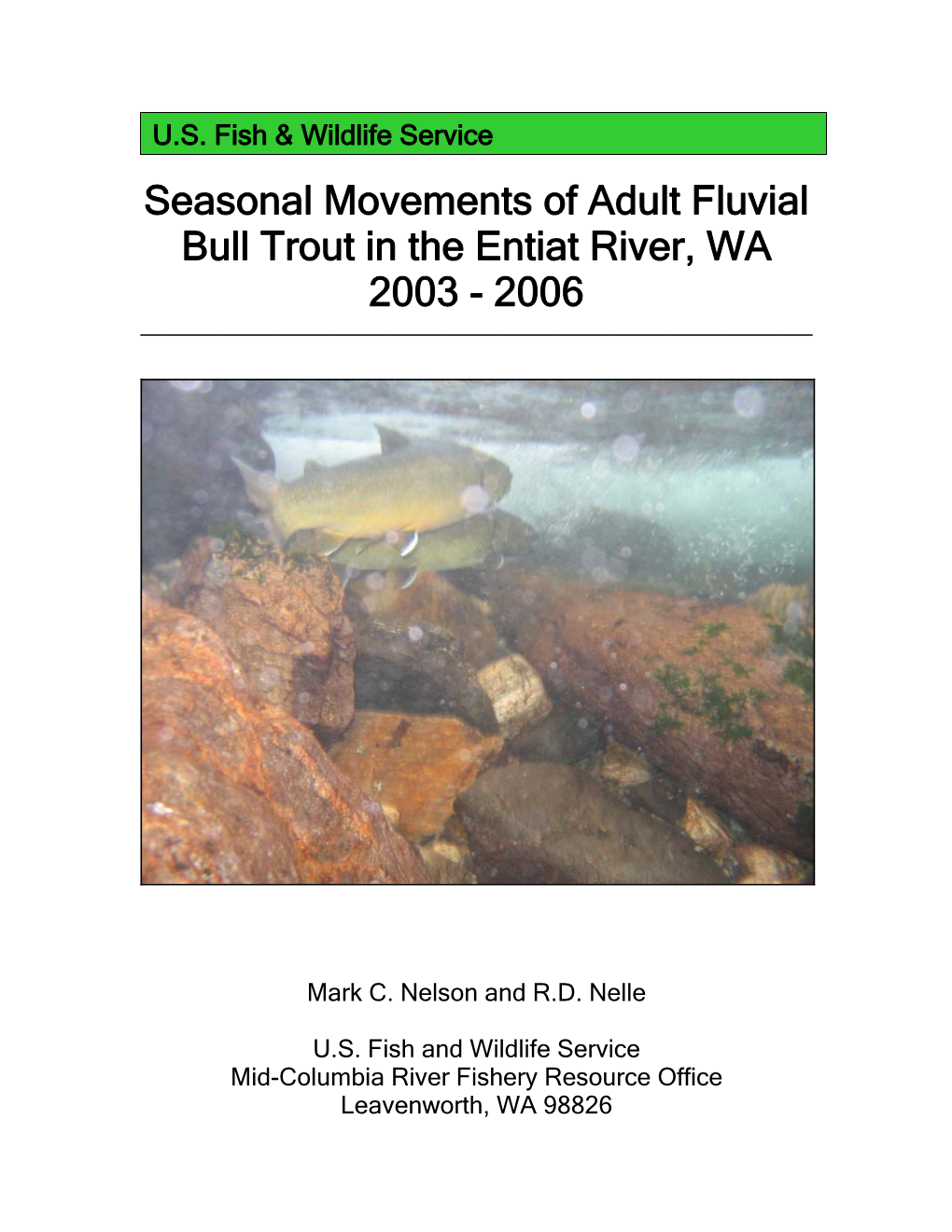 Seasonal Movement of Bull Trout in the Entiat River