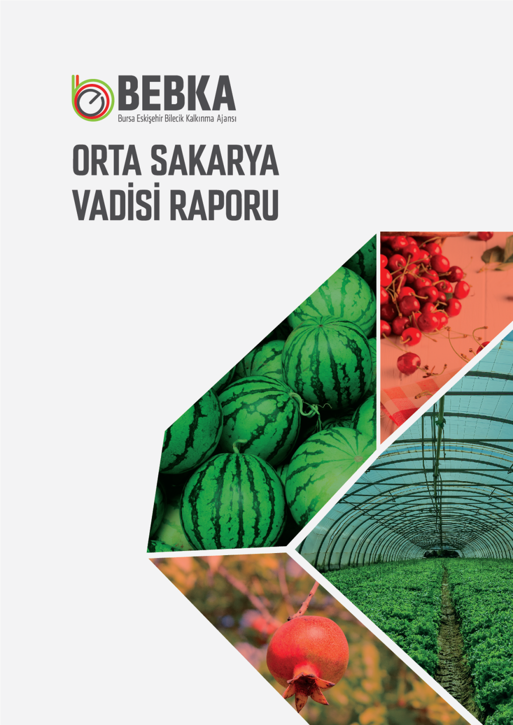 Orta Sakarya Vadisi Raporu