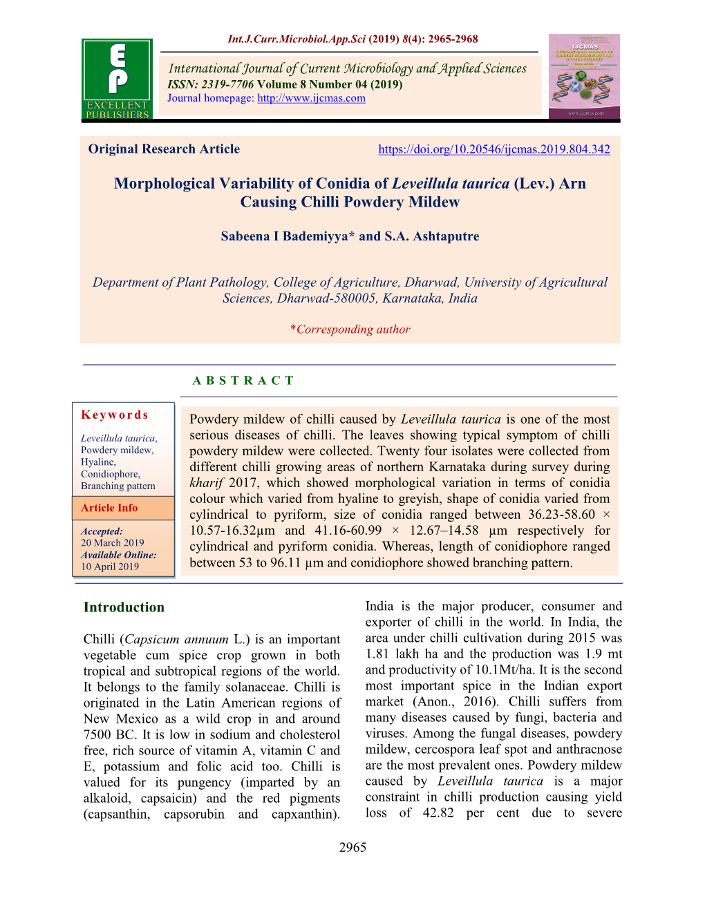 Morphological Variability of Conidia of Leveillula Taurica (Lev.) Arn Causing Chilli Powdery Mildew