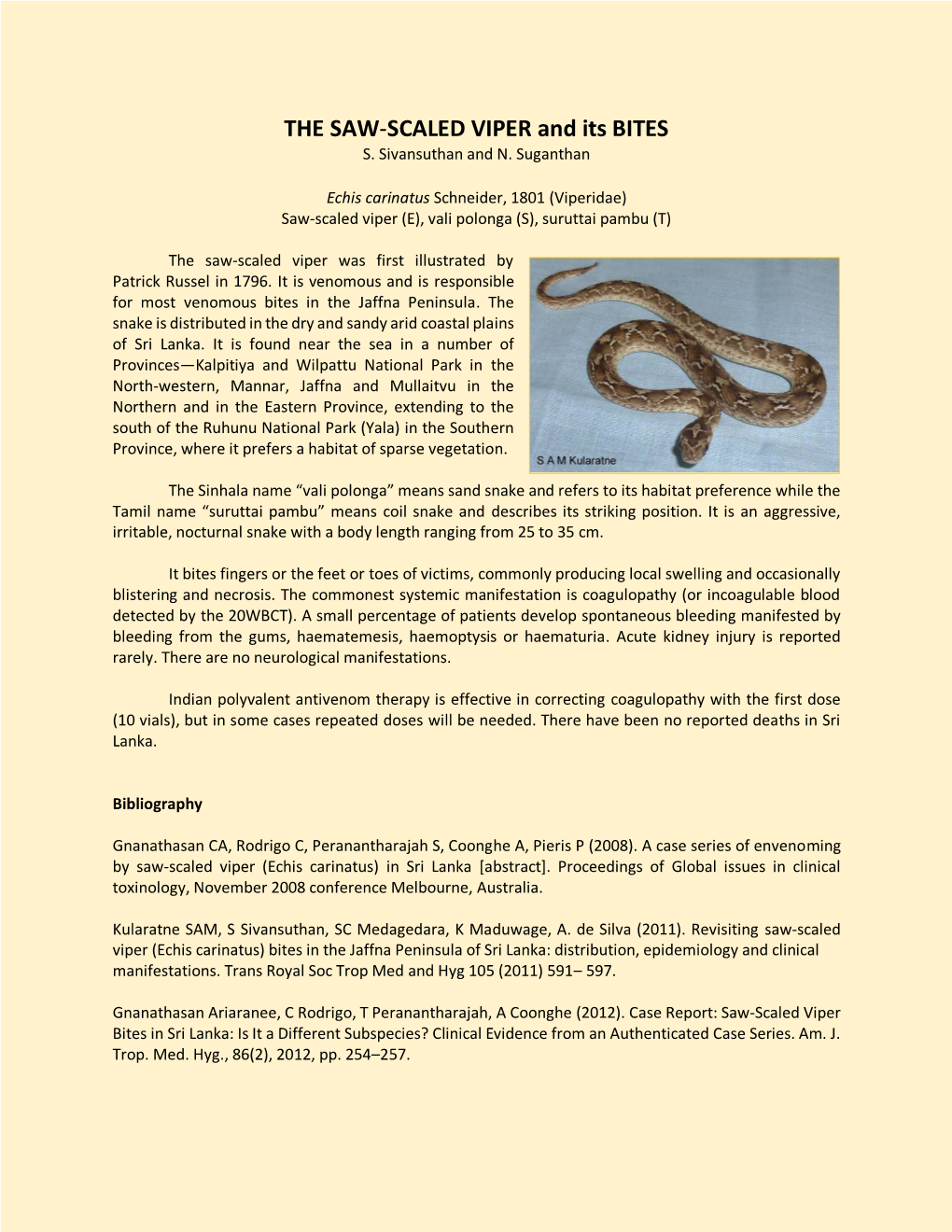 THE SAW-SCALED VIPER and Its BITES S