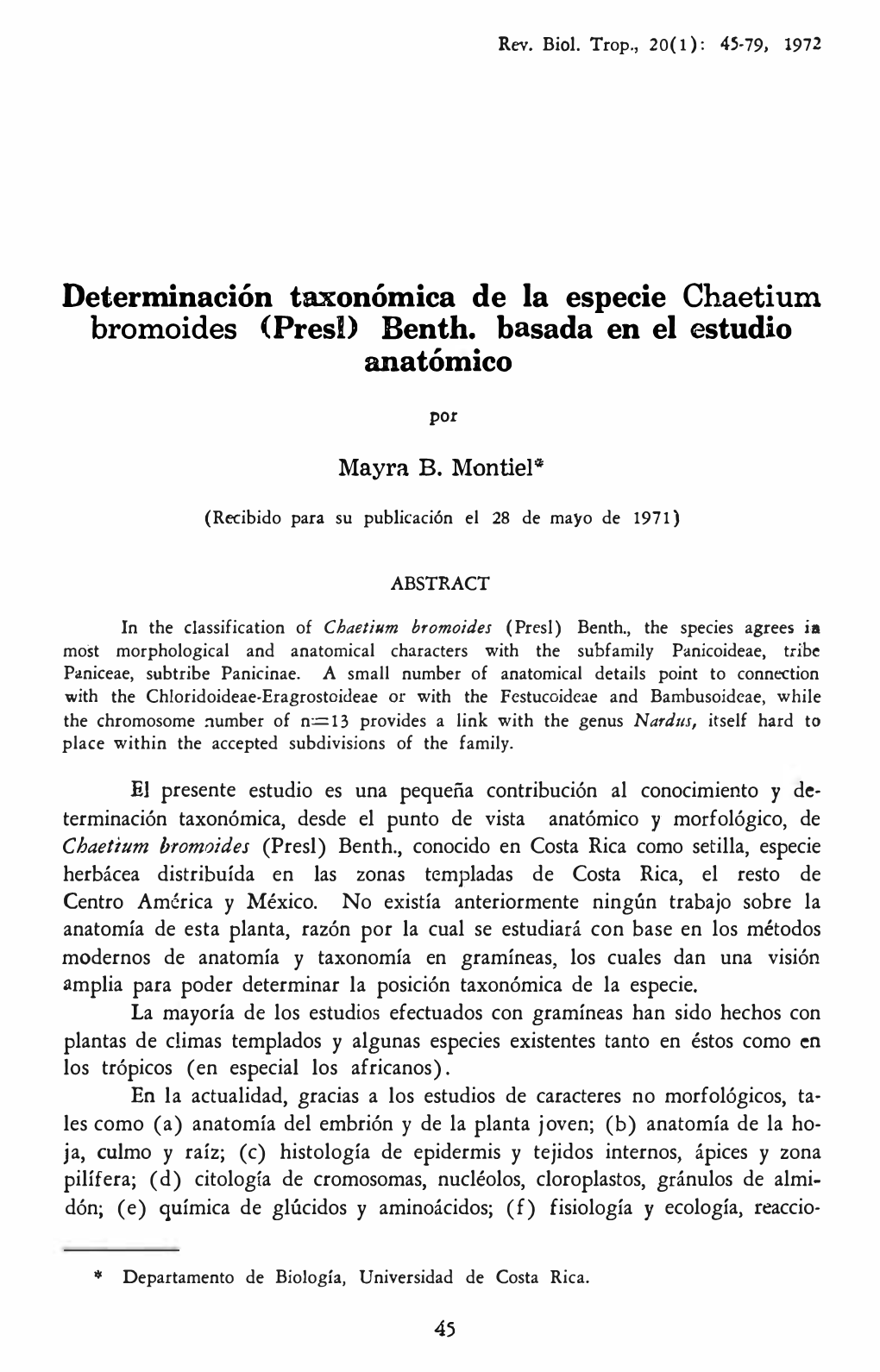 Determinación Taxonómica De La Especie Chaetium Bromoides