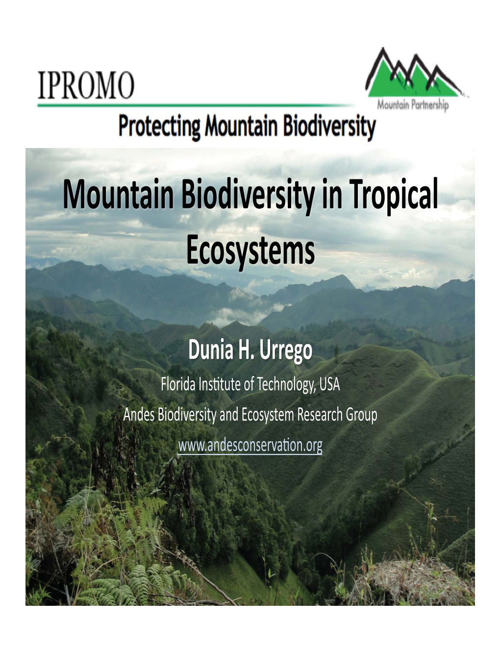 Mountain Biodiversity in Tropical Ecosystems