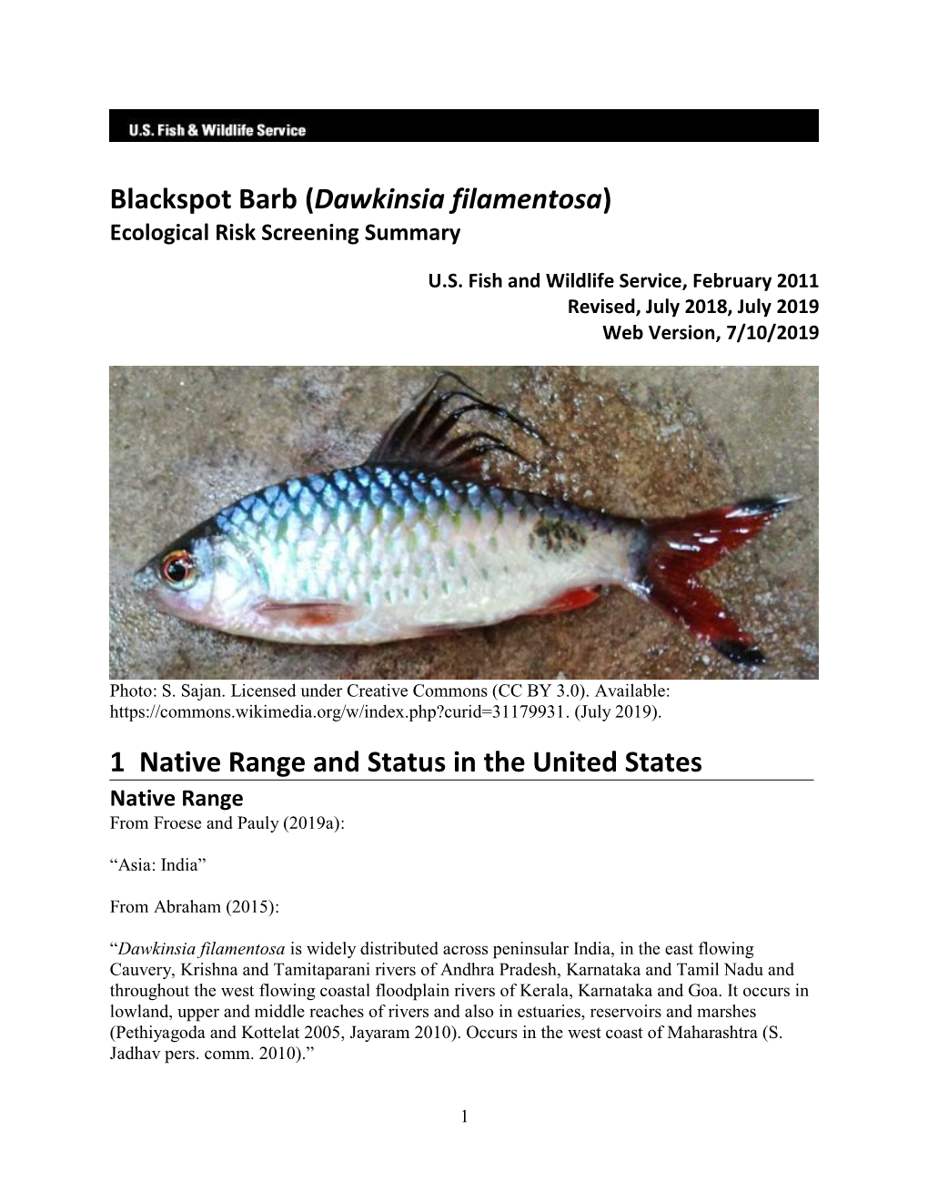 Puntius Filamentosus (Blackspot Barb) Ecological Risk Screening Summary