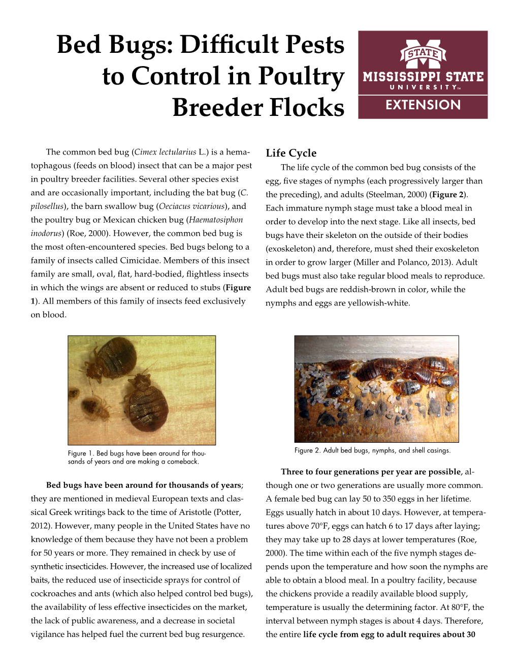 Bed Bugs: Difficult Pests to Control in Poultry Breeder Flocks