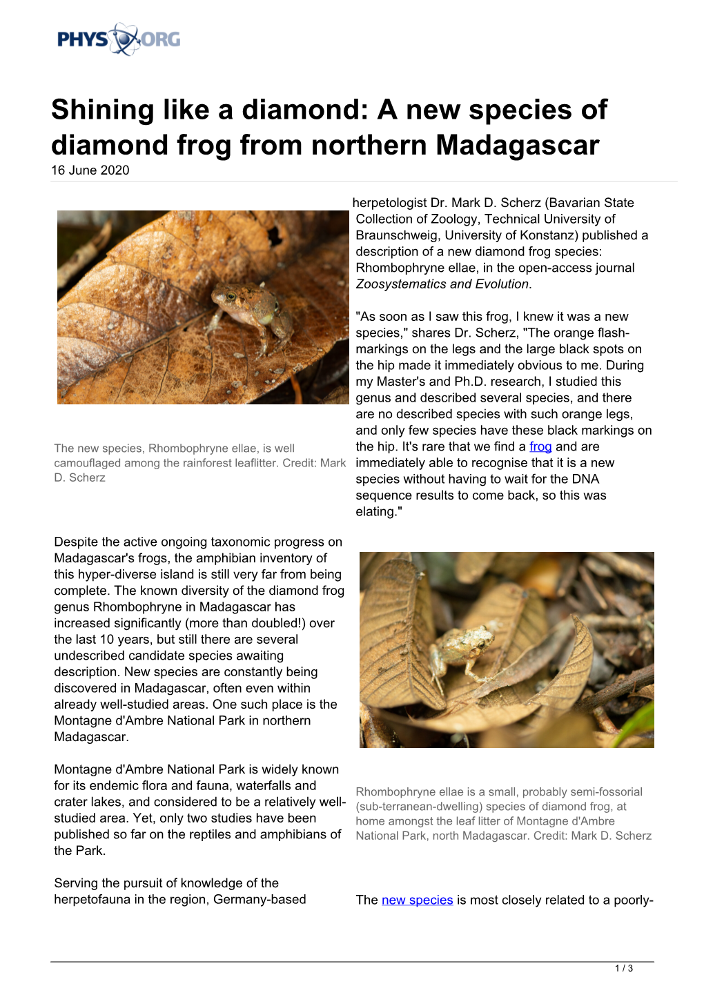 A New Species of Diamond Frog from Northern Madagascar 16 June 2020