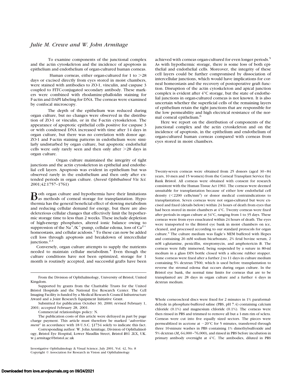 Integrity of Epithelium and Endothelium in Organ-Cultured Human Corneas