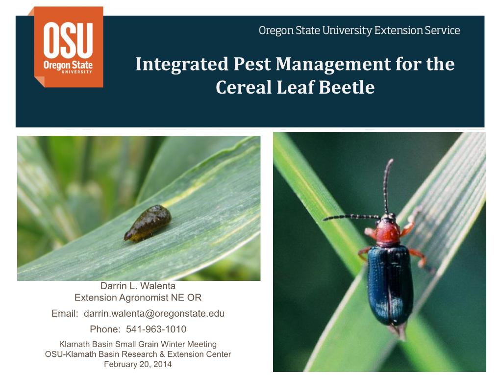 Integrated Pest Management for the Cereal Leaf Beetle