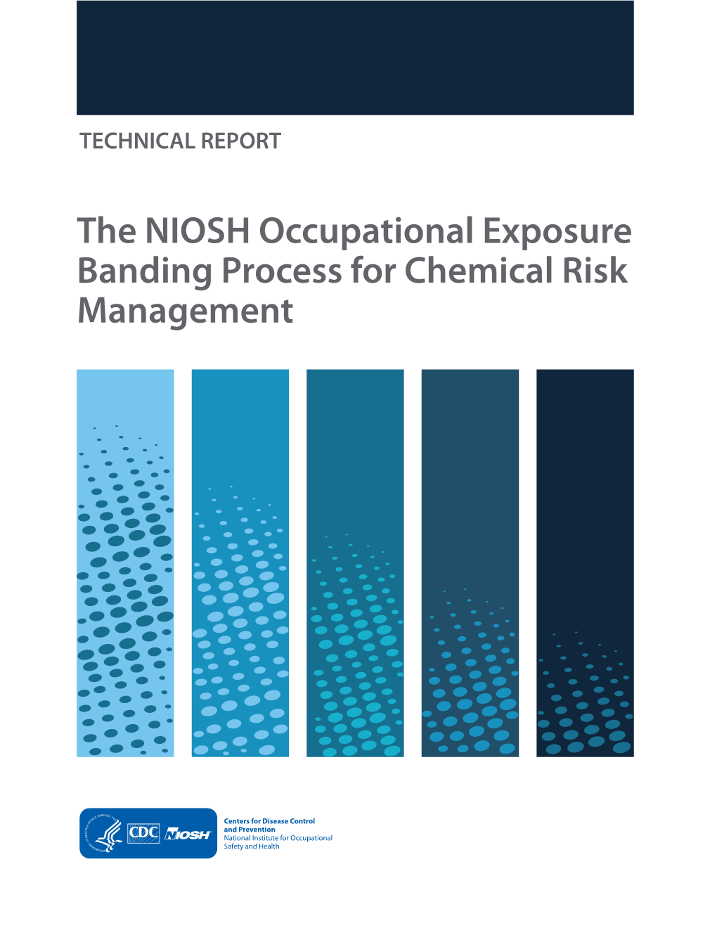 The NIOSH Occupational Exposure Banding Process for Chemical Risk Management