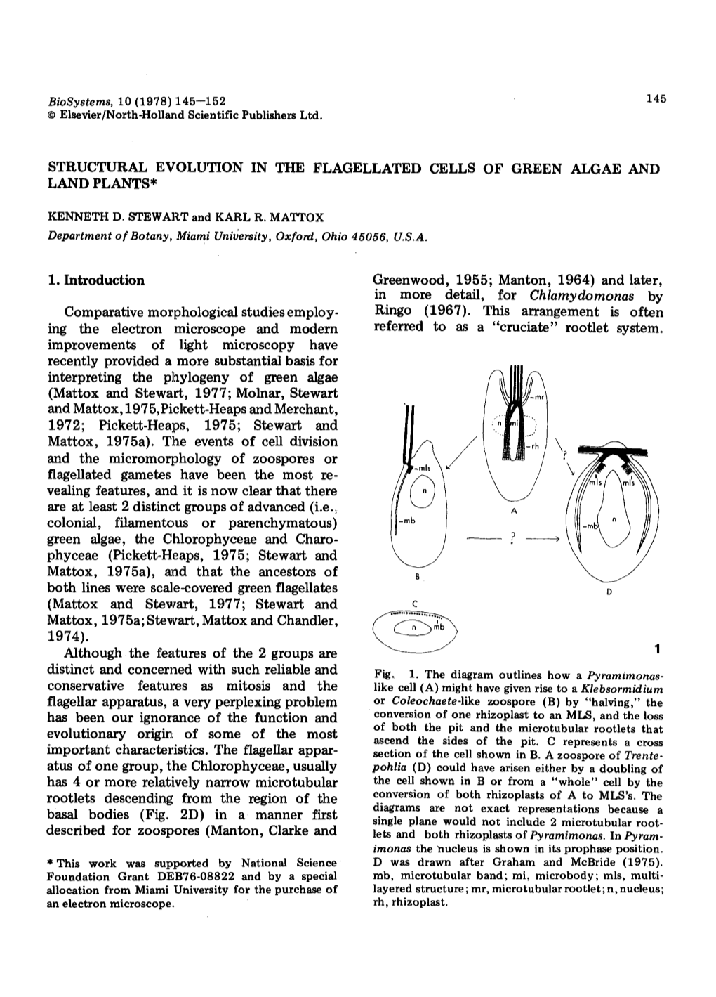 Structural Evolution in the Flagellated Cells of Green Algae and Land Plants*