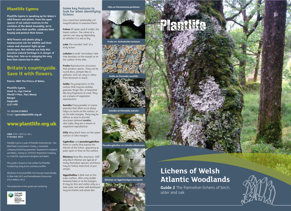 Lichens of Welsh Atlantic Woodlands