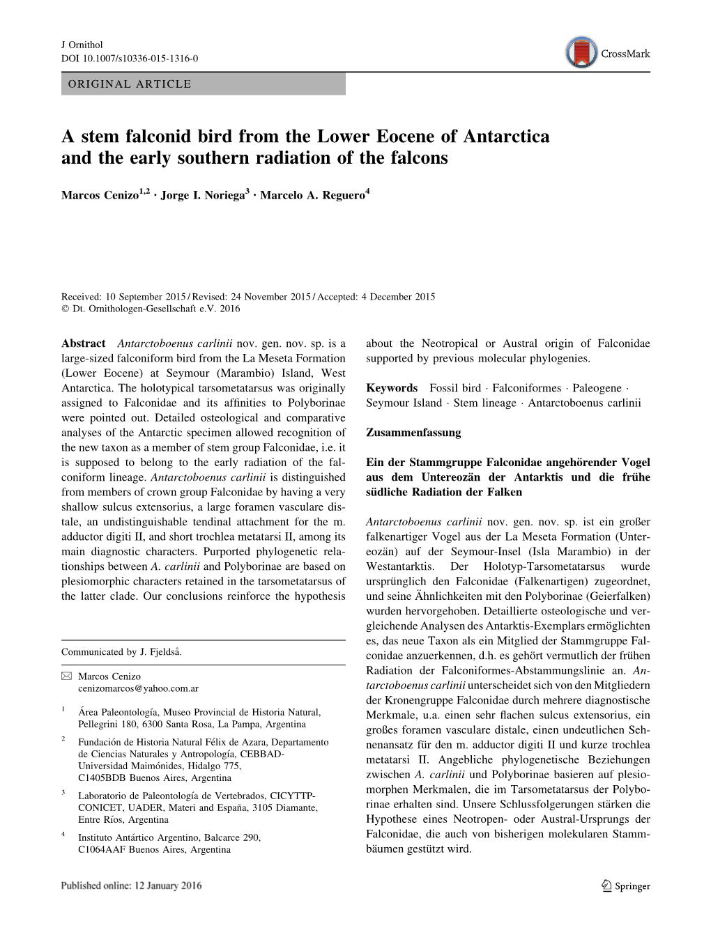 A Stem Falconid Bird from the Lower Eocene of Antarctica and the Early Southern Radiation of the Falcons