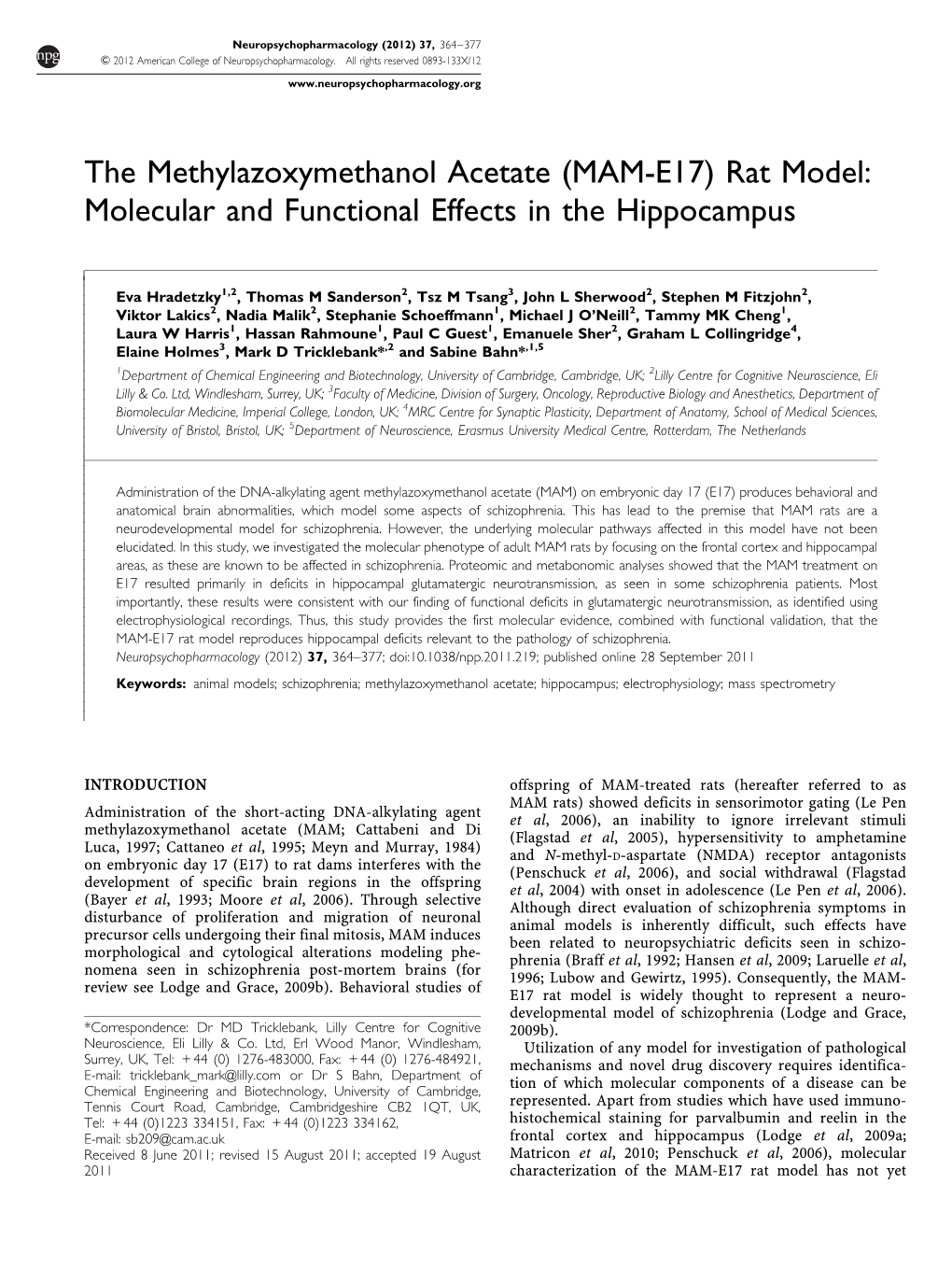 The Methylazoxymethanol Acetate (MAM-E17) Rat Model: Molecular and Functional Effects in the Hippocampus