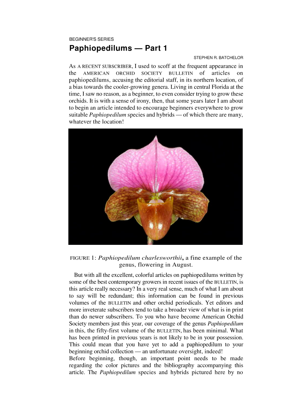 Paphiopedilums — Part 1 STEPHEN R