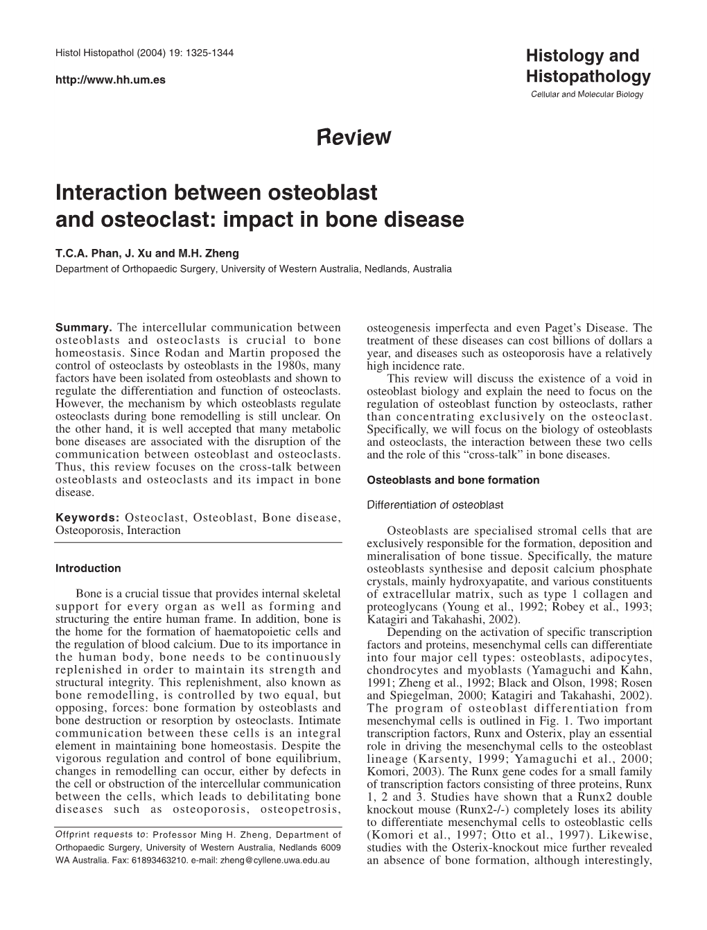 Review Interaction Between Osteoblast and Osteoclast