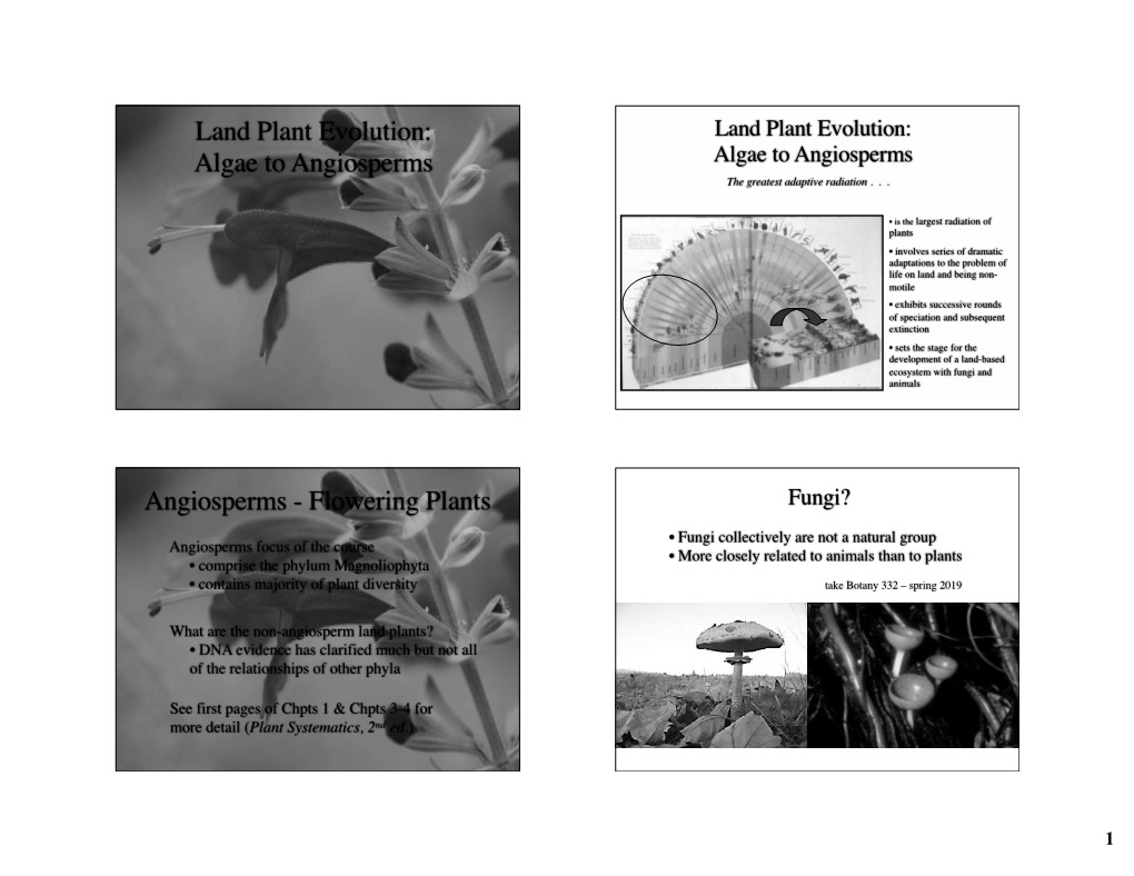 Algae to Angiosperms Angiosperms