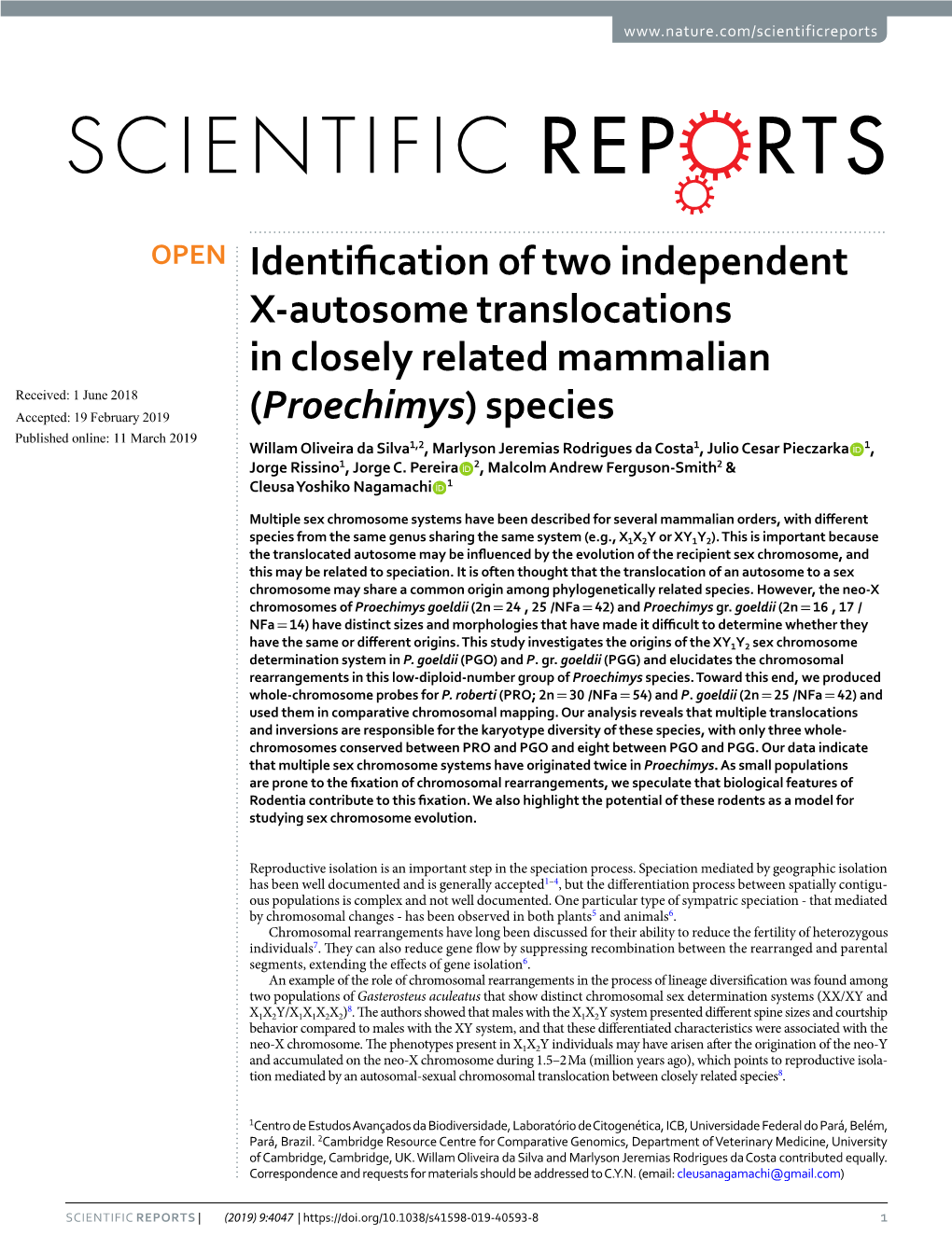 Identification of Two Independent X-Autosome Translocations in Closely Related Mammalian (Proechimys) Species