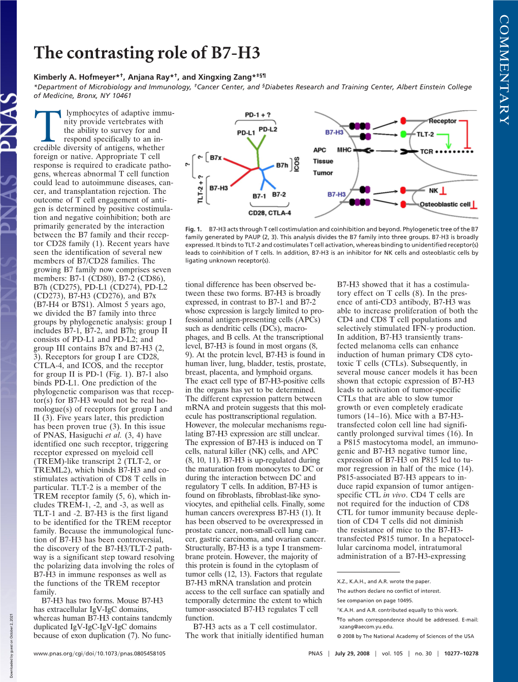 The Contrasting Role of B7-H3