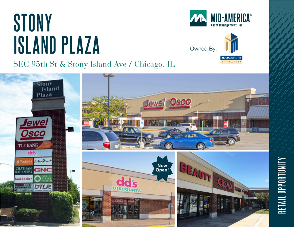 Stony Island Plaza